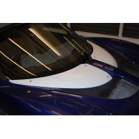 Lotus Exige front access panel covers